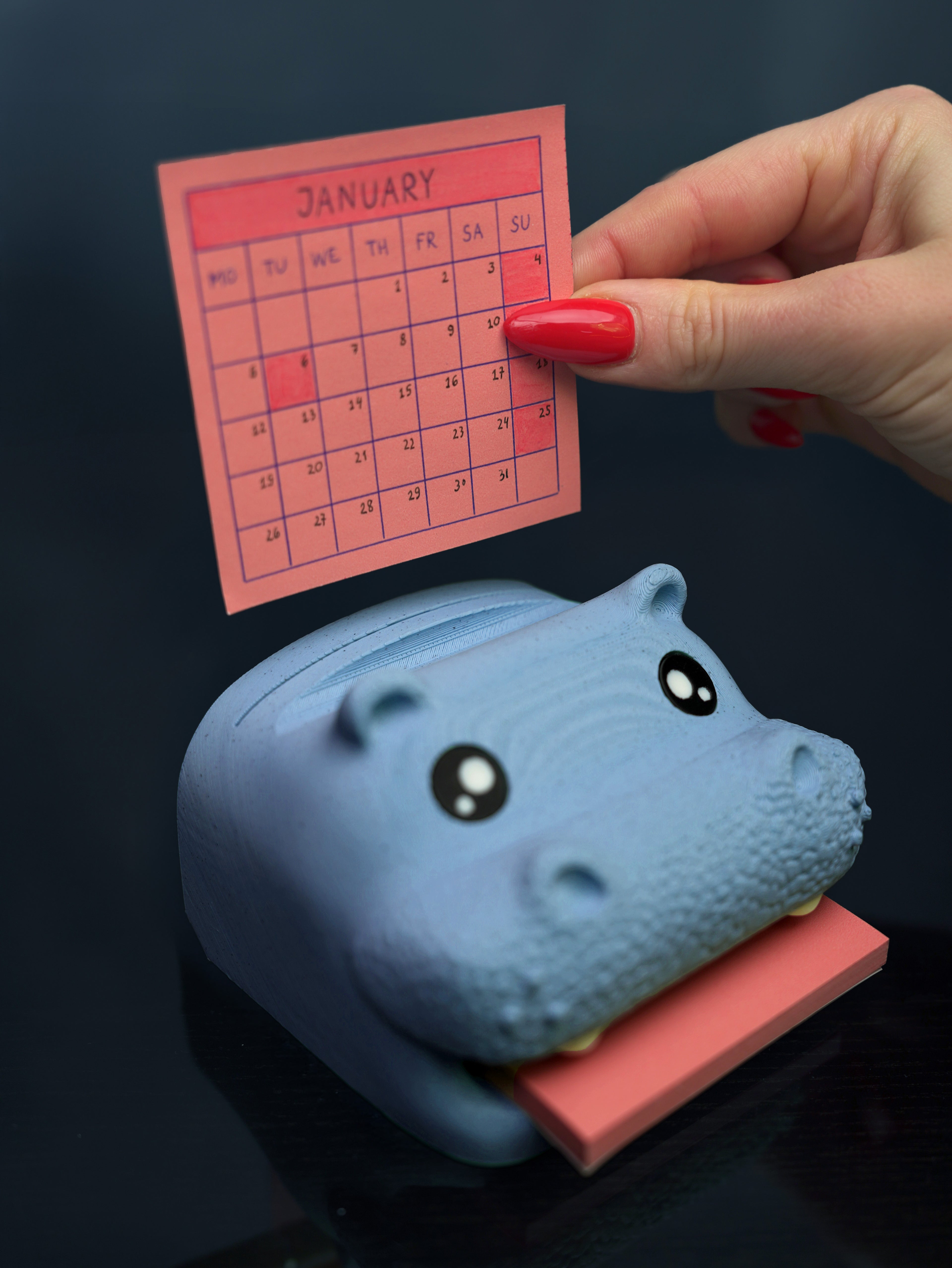 Hippo-Campus skrivebordorganisator